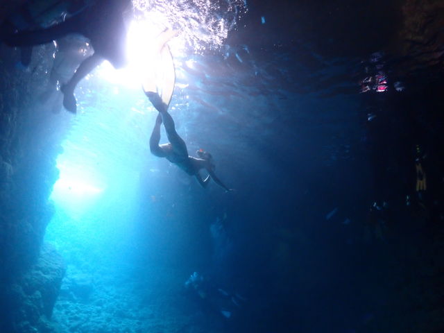 �̓��A�ɂ�_Marine Shop Twins