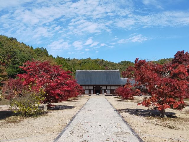 ܂ڂ񂳂̏GRM̓eʐ^1