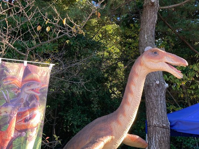 �_�C�i�\�[�A�h�x���`���[�c�A�[in�����x�C����_�_�C�i�\�[�A�h�x���`���[�c�A�[in�����x�C����