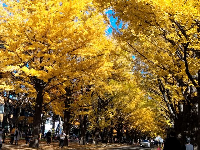 �\�������ė��鏈�����ł��I_�k��C�`���E����