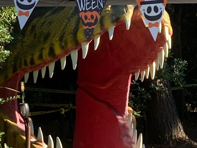 �_�C�i�\�[�A�h�x���`���[�c�A�[in�����x�C����_�_�C�i�\�[�A�h�x���`���[�c�A�[in�����x�C����