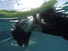 䂳̃_Cu (MalDive)ւ̓eʐ^1