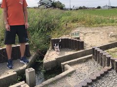 ܂̕čsOiQnEȖ،Eʌjւ̓eʐ^1