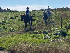 ORiding Club Jobardߐ{ւ̓eʐ^1
