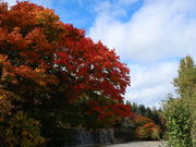 yosshy̑OcXь̓eʐ^1