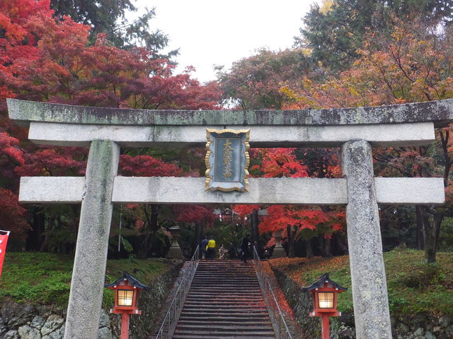 ��̒���_�匴��_��