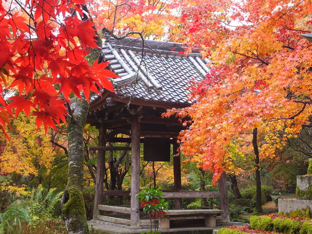 ���O_������