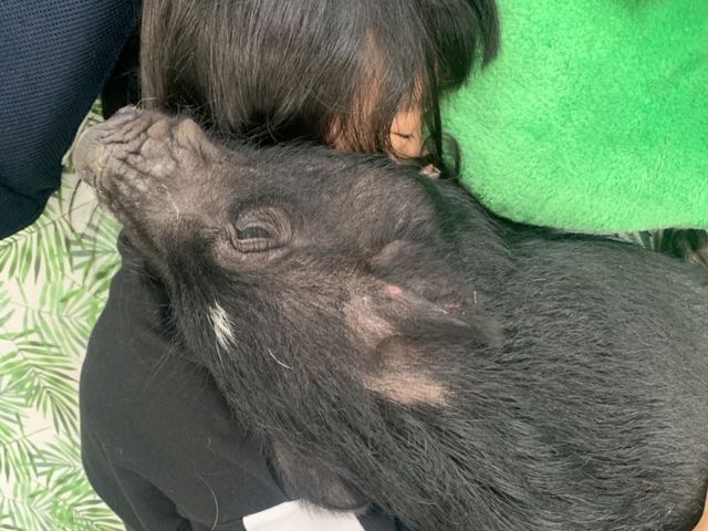 �ꏏ�ɐQ��邮�炢�Ȃ��Ă��܂�_�}�C�N���Ԃ��J�t�F���s