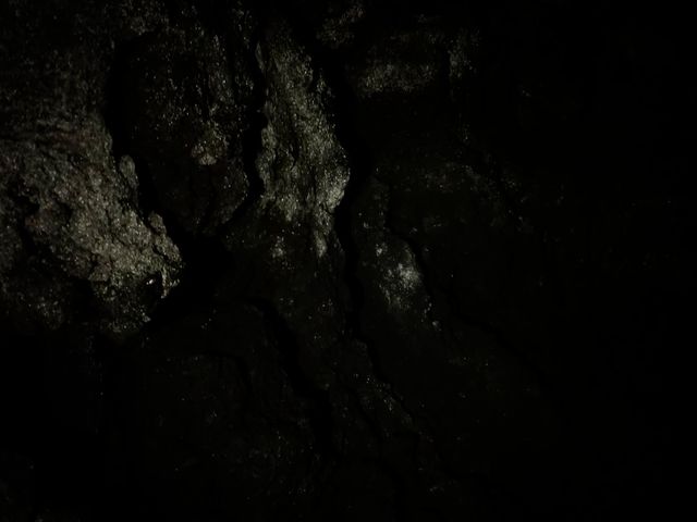 ���A�̒��L���L���őf�G�ł����I_������� Mt.Fuji Nature Travel