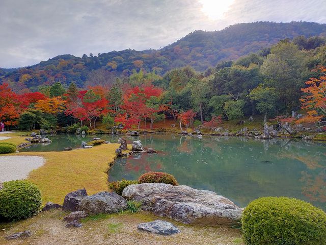 �V�����̒���_���R