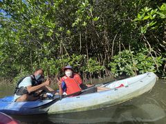 䂤񂳂̐Ί_̃Jk[̌@炮`ւ̓eʐ^1