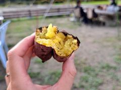 �I���ь炳��̂������_���ւ̓��e�ʐ^1