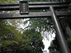 ݂̐VhzK_Ђւ̓eʐ^1