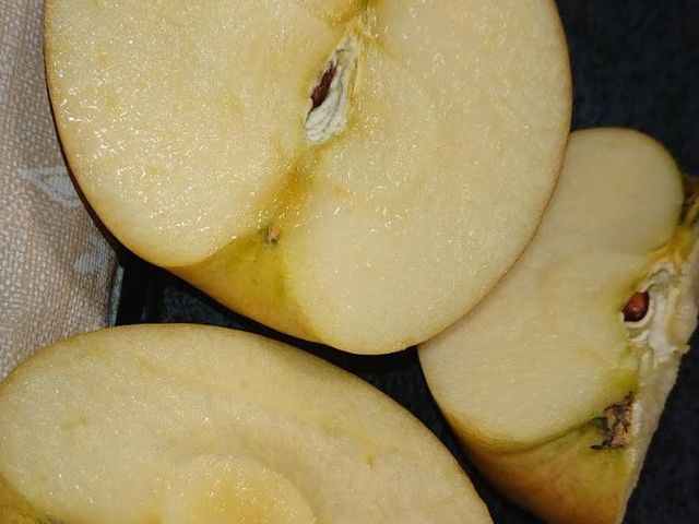 ��������������Ȃ�_�c����