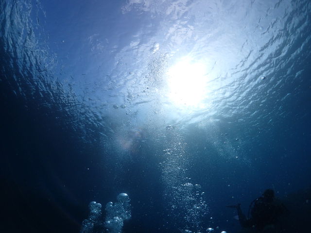 �C�̒��̎ʐ^�ł��B_EGG�_�C�r���O�V���b�v