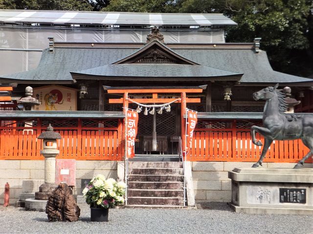 �q�a�̌��ɁA�{�a3�a�����ї����Ă��܂����A�ۑ��C���̕������˂����S�������܂���B_�{��_��