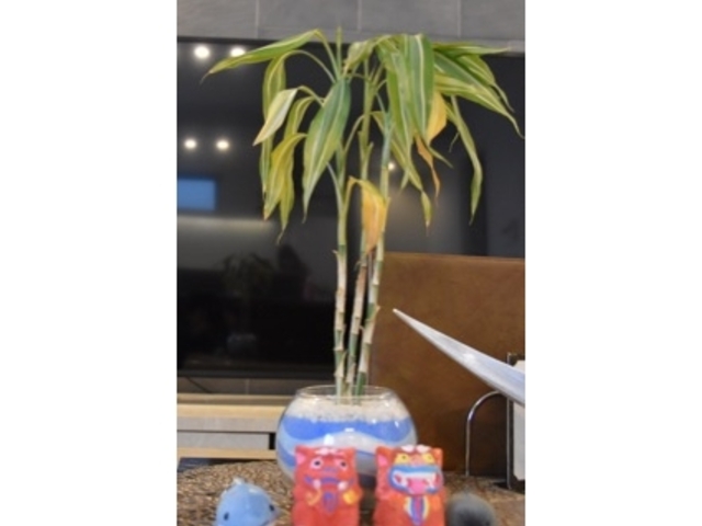 �͍���`�F�b�N�C���������B���ɏ����Ă݂܂����B_Cheerful �{�Ó�