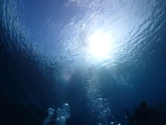 ݁[񂳂EGG_CrOVbvւ̓eʐ^1