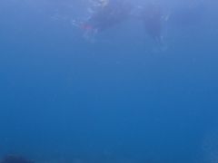 ܂imtida{Óւ̓eʐ^1