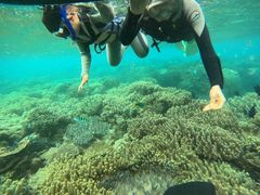 񂿂񂳂̃_Cu (MalDive)ւ̓eʐ^1