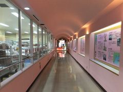 ڂ炳̊wŁAāA킦IIB~قւ̓eʐ^4