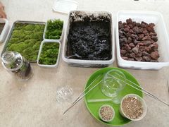 ̃t@~[K[fzt(ztAjւ̓eʐ^3