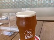 ނ񂳂̃J}hu[̓eʐ^1