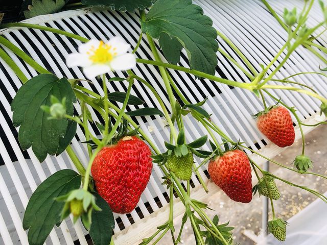 �����������Ȃ������ł��B_���Ԃ������_��