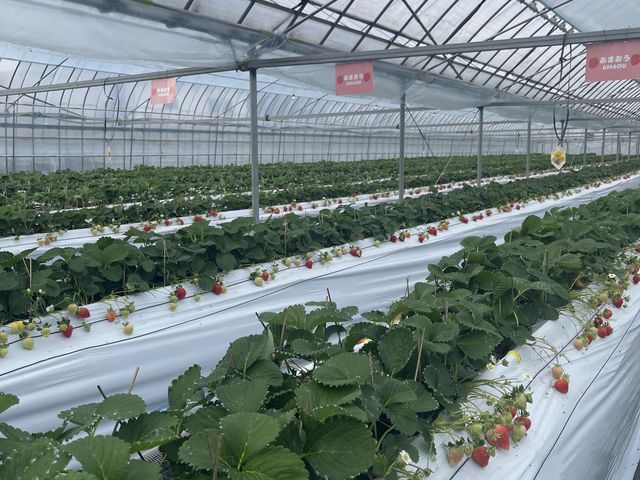 ���ꂩ���R�Ԃ��Ȃ肻���ł��I_���c�t�@�[���@�x���[��