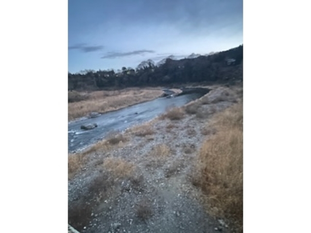 �֍s����͌�_���̕�����