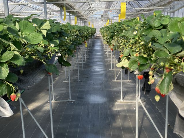 �ǂ�����_�������_��