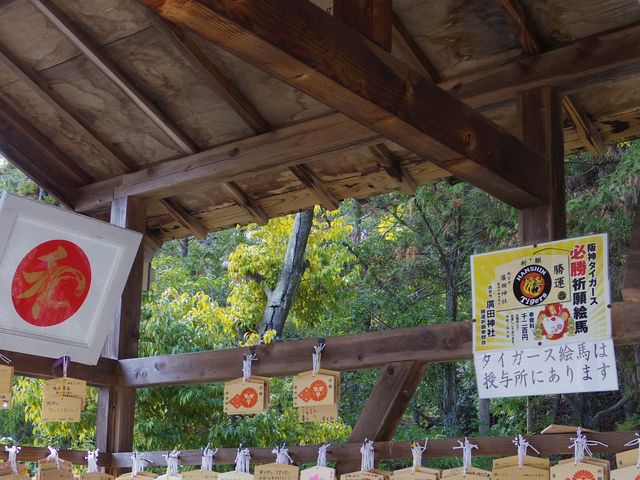 _^CK[XKF̊Gn[悤ł_Ac_