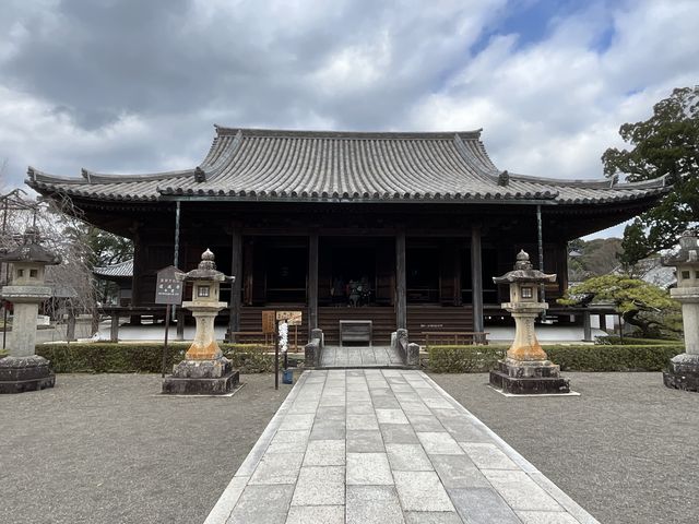 Shota����̓������{���̓��e�ʐ^1