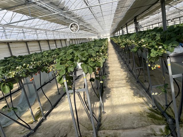 ������_�݂̂�_��