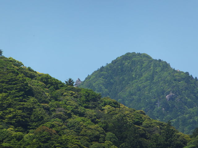 ́AƂ񂪂RGXqRRt߁B_GXqR