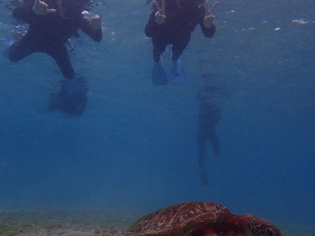 �C�K���ƈꏏ�Ɋ����I_�{�Ó� ADVENTURE PiPi