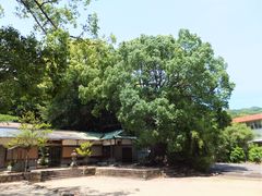 ڂ炳̕l̋{̑ւ̓eʐ^1