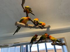 Ȃ0605̂ӂꂠǂԂJtF fuuւ̓eʐ^3