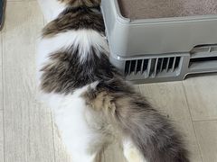 Ȃ0605̂ӂꂠǂԂJtF fuuւ̓eʐ^4