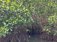 masamasaOHCUSΊ_ւ̓eʐ^1