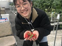 �Ђ̂��������̎ʐ^2