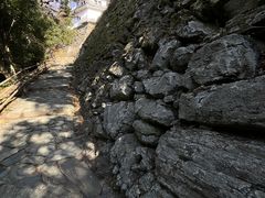 Shota̘a̎Rւ̓eʐ^1