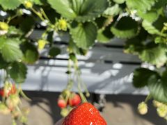 ẼgK@XvOt@[@ւ̓eʐ^1