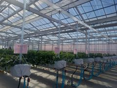 `݂񂳂̃qt@[ւ̓eʐ^1