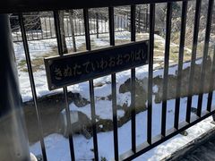 7DICE̋S{|݋ւ̓eʐ^1