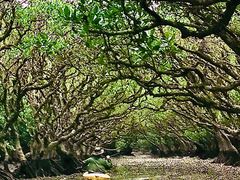 [^X̊όlbg[Nւ̓eʐ^1