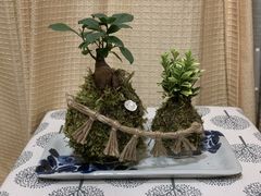 炫悳̈ɐvw߂Ɖւ̓eʐ^1