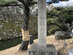 Shota̘a̎Rւ̓eʐ^1