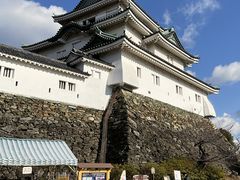 Shota̘a̎Rւ̓eʐ^1