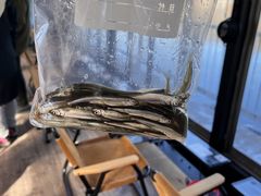 炳NaturaBaseւ̓eʐ^1